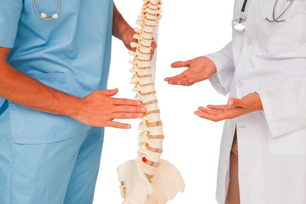 O médico mostra a estrutura da columna vertebral nun modelo